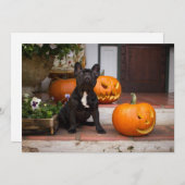 Cutest Baby Animals | French Bulldog Halloween Bedankkaart (Voorkant / Achterkant)