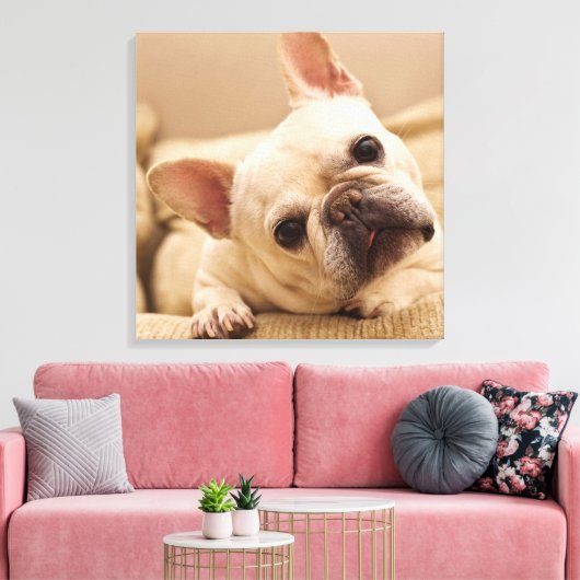 Cutest Baby Animals | French Bulldog Head Tilt Canvas Afdruk (Insitu (Woonkamer))