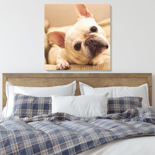 Cutest Baby Animals | French Bulldog Head Tilt Canvas Afdruk (Insitu (Slaapkamer))