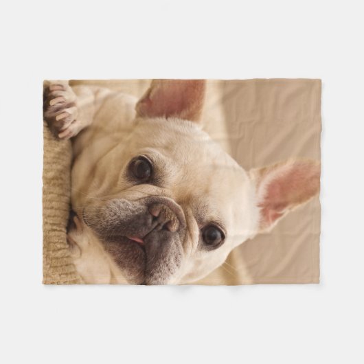 Cutest Baby Animals | French Bulldog Head Tilt Fleece Deken (Voorkant (Horizontaal))