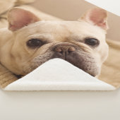 Cutest Baby Animals | French Bulldog Head Tilt Sherpa Deken (3/4)