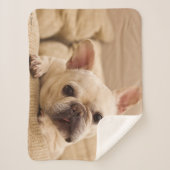 Cutest Baby Animals | French Bulldog Head Tilt Sherpa Deken (Voorkant)