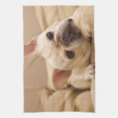 Cutest Baby Animals | French Bulldog Head Tilt Theedoek (Verticaal)