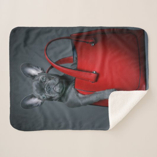 Cutest Baby Animals | French Bulldog in Handbag Sherpa Deken (Voorkant (horizontaal))