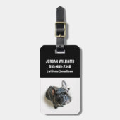 Cutest Baby Animals | French Bulldog Look Up Bagagelabel (Voorkant verticaal)