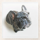 Cutest Baby Animals | French Bulldog Look Up Glazen Onderzetter (Voorkant)
