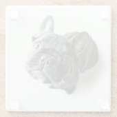 Cutest Baby Animals | French Bulldog Look Up Glazen Onderzetter (Achterkant)