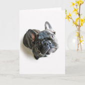 Cutest Baby Animals | French Bulldog Look Up Kaart (Gele Bloem)