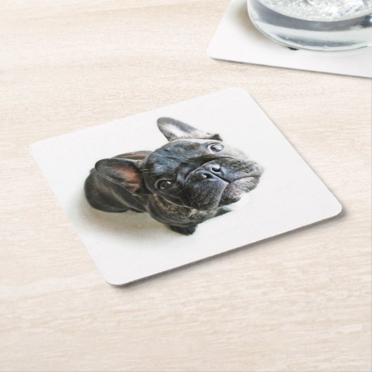 Cutest Baby Animals | French Bulldog Look Up Kartonnen Onderzetters (Schuin)