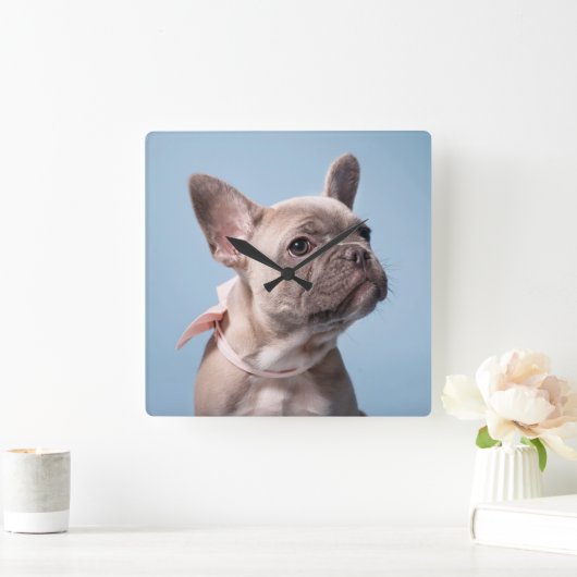 Cutest Baby Animals | French Bulldog Pink Bow Vierkante Klok (Huis)