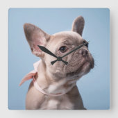 Cutest Baby Animals | French Bulldog Pink Bow Vierkante Klok (Voorkant)