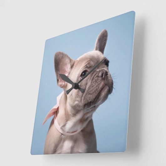 Cutest Baby Animals | French Bulldog Pink Bow Vierkante Klok (Hoek)