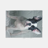 Cutest Baby Animals | French Bulldog Puppy Fleece Deken (Voorkant (Horizontaal))