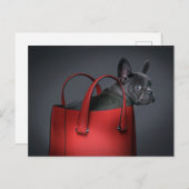 Cutest Baby Animals | French Bulldog Red Hand Bag Briefkaart (Voorkant / Achterkant)