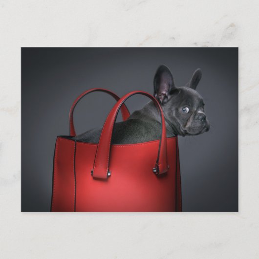 Cutest Baby Animals | French Bulldog Red Hand Bag Briefkaart (Voorkant)
