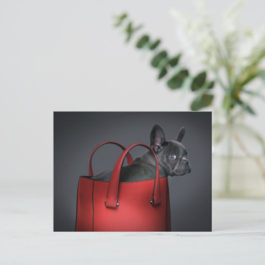 Cutest Baby Animals | French Bulldog Red Hand Bag Briefkaart (Staand voorkant)