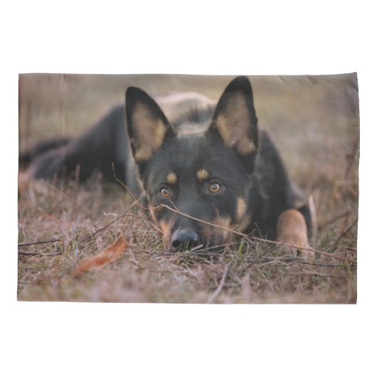 Cutest Baby Animals | German Shepherd Puppy Kussensloop (Achterkant)