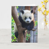 Cutest Baby Animals | Giant Panda Cub Kaart (Gele Bloem)