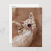 Cutest Baby Animals | Ginger Kitten Yawning Briefkaart (Voorkant / Achterkant)