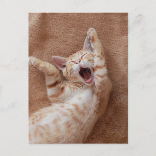 Cutest Baby Animals | Ginger Kitten Yawning Briefkaart (Voorkant)