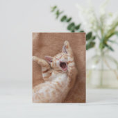 Cutest Baby Animals | Ginger Kitten Yawning Briefkaart (Staand voorkant)