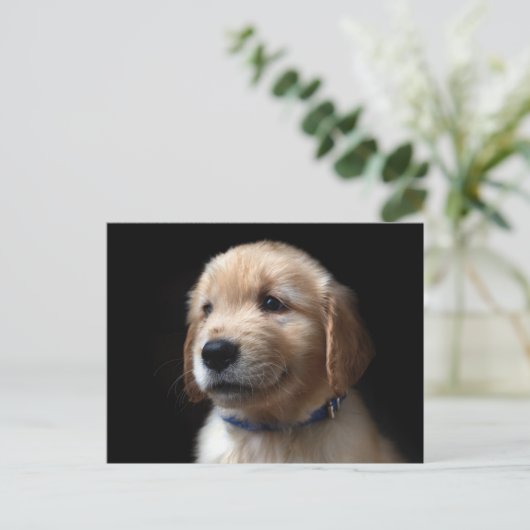 Cutest Baby Animals | Golden Retriever Puppy Briefkaart (Staand voorkant)