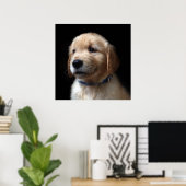 Cutest Baby Animals | Golden Retriever Puppy Poster (Thuiskantoor)