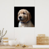 Cutest Baby Animals | Golden Retriever Puppy Poster (Keuken)