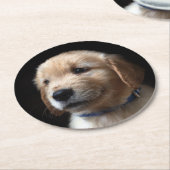 Cutest Baby Animals | Golden Retriever Puppy Ronde Kartonnen Onderzetter (Gebogen)