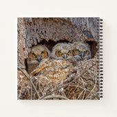 Cutest Baby Animals | Great Horned Chicks Notitieboek (Achterkant)