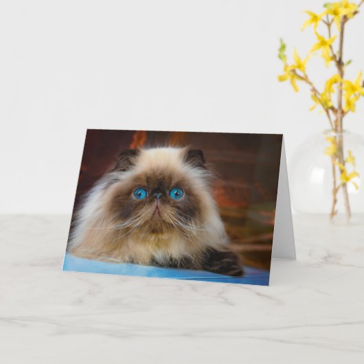 Cutest Baby Animals | Himalayan Cat Kaart (Gele Bloem)