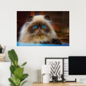 Cutest Baby Animals | Himalayan Cat Poster (Thuiskantoor)