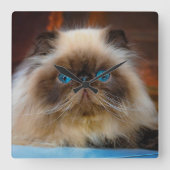 Cutest Baby Animals | Himalayan Cat Vierkante Klok (Voorkant)