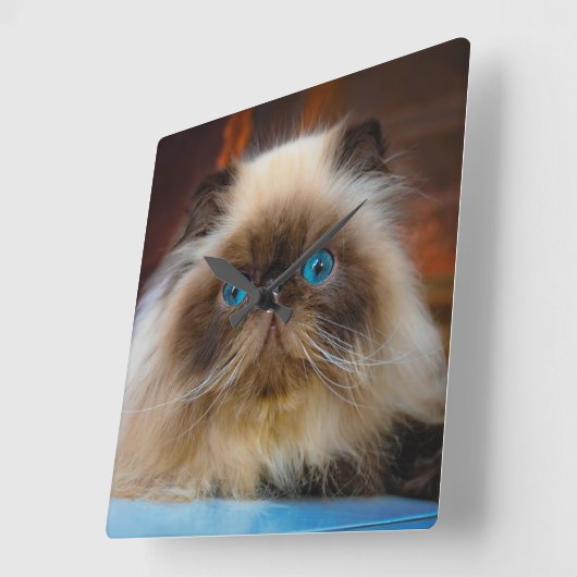 Cutest Baby Animals | Himalayan Cat Vierkante Klok (Hoek)