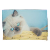 Cutest Baby Animals | Himalayan Seal Point Cat Kussensloop (Voorkant)