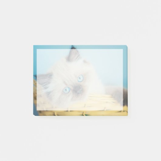 Cutest Baby Animals | Himalayan Seal Point Cat Post-it® Notes (Voorkant)