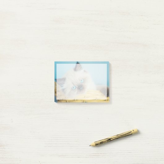 Cutest Baby Animals | Himalayan Seal Point Cat Post-it® Notes (Op bureau)