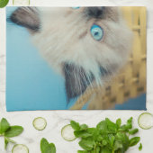 Cutest Baby Animals | Himalayan Seal Point Cat Theedoek (Gevouwen)