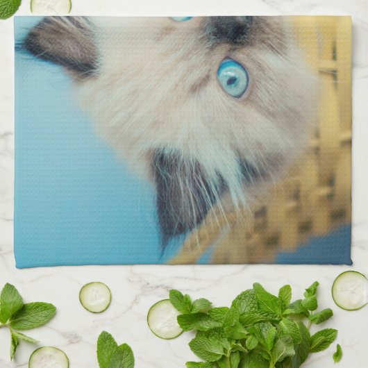 Cutest Baby Animals | Himalayan Seal Point Cat Theedoek (Gevouwen)