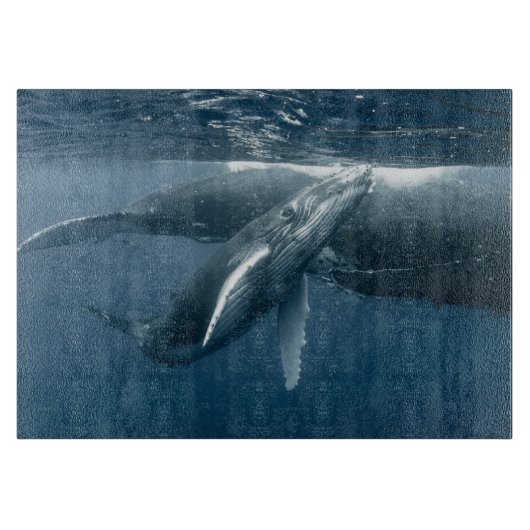 Cutest Baby Animals | Humpback Whale Calf Snijplank (Voorkant)
