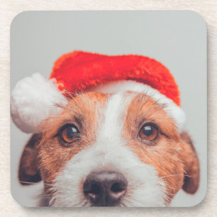 Cutest Baby Animals   Jack Russell Dog Santa Claus Bier Onderzetter