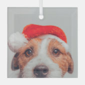 Cutest Baby Animals | Jack Russell Dog Santa Claus Glas Ornament (Voorkant)