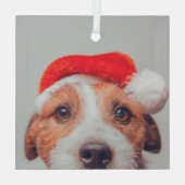 Cutest Baby Animals | Jack Russell Dog Santa Claus Glas Ornament (Achterkant)