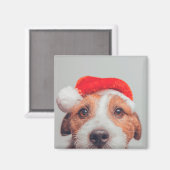 Cutest Baby Animals | Jack Russell Dog Santa Claus Magneet (Voorkant / Achterkant)