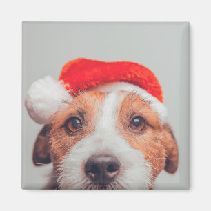 Cutest Baby Animals Jack Russell Dog Santa Claus Magneet
