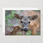 Cutest Baby Animals | Key Deer Stag & Fawn Bedankkaart (Voorkant / Achterkant)