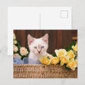 Cutest Baby Animals | Kitten & Yellow Roses Briefkaart (Voorkant / Achterkant)