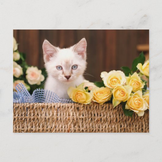 Cutest Baby Animals | Kitten & Yellow Roses Briefkaart (Voorkant)