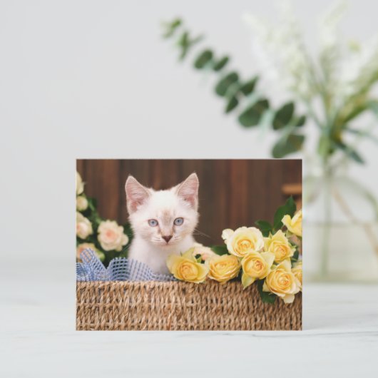 Cutest Baby Animals | Kitten & Yellow Roses Briefkaart (Staand voorkant)