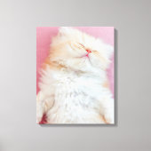 Cutest Baby Animals | Lovely Kitten Sleeping Canvas Afdruk (Voorkant)